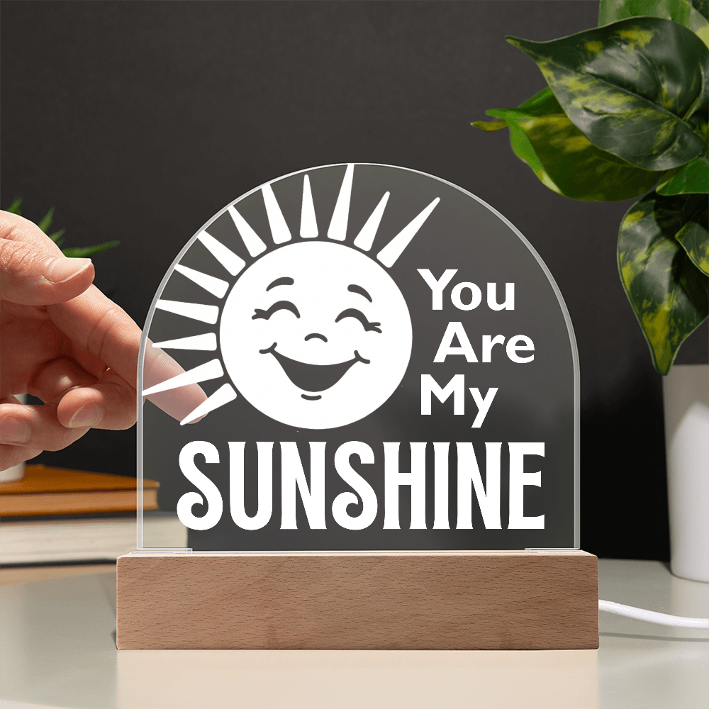 You are my sunshine plaque against a black wall with hand to show transparency.
