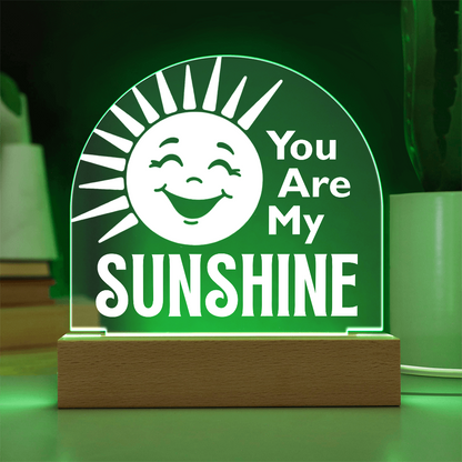 You are my sunshine plaque with green light feature on