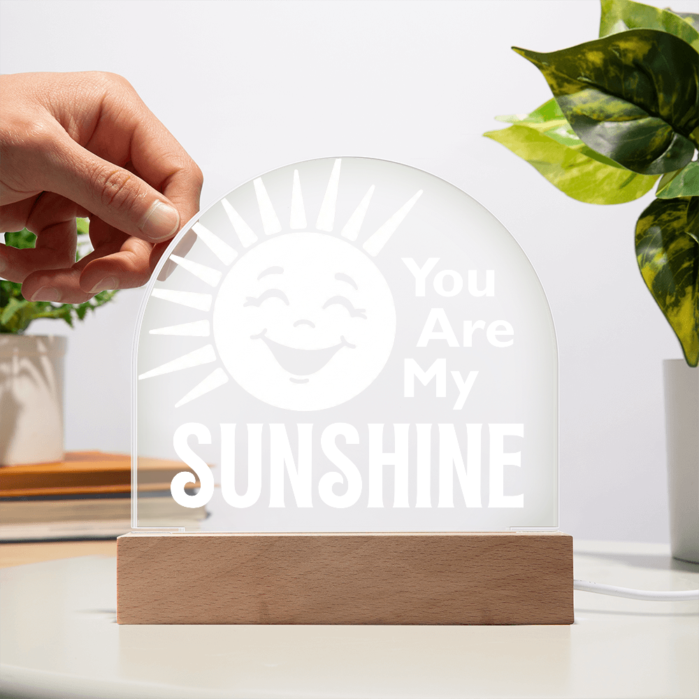You are my sunshine plaque against a white wall with hand to show transparency.